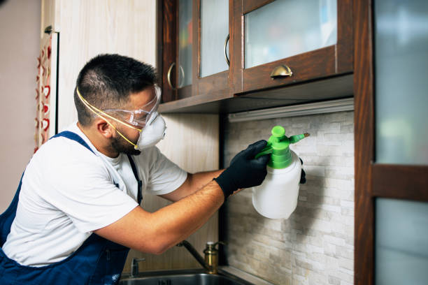  Montesano, WA Pest Control Pros