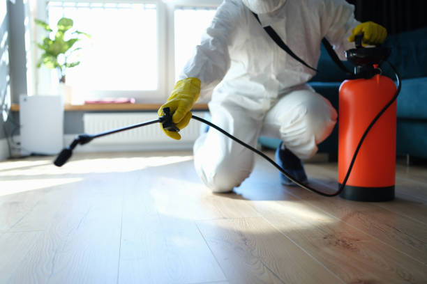 Best Pest Inspection Near Me  in Montesano, WA